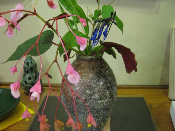 【伊賀焼きの花瓶に秋海棠】の画像