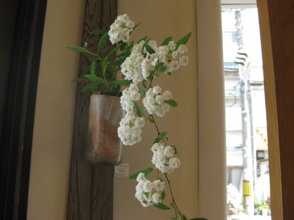【小手毬（八重）を掛け花入れに】の画像